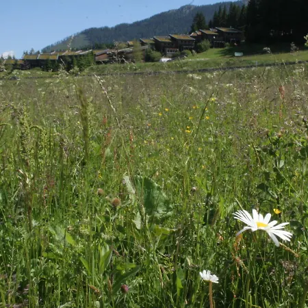 Feriendorf Chalet Type B Hohentauern