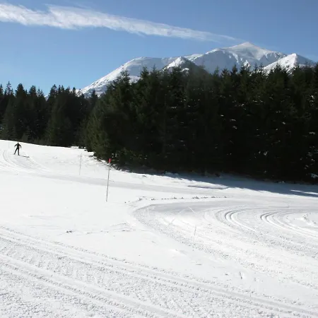 Feriendorf Chalet Type B Chalet Hohentauern